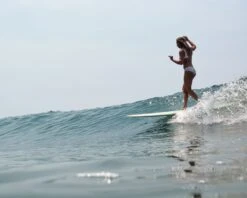 Naya Bikini Bottom - Khaki Stripe -The Sea Wear Store SEEA 08052025 JulyEComm JuliaDinerman 6