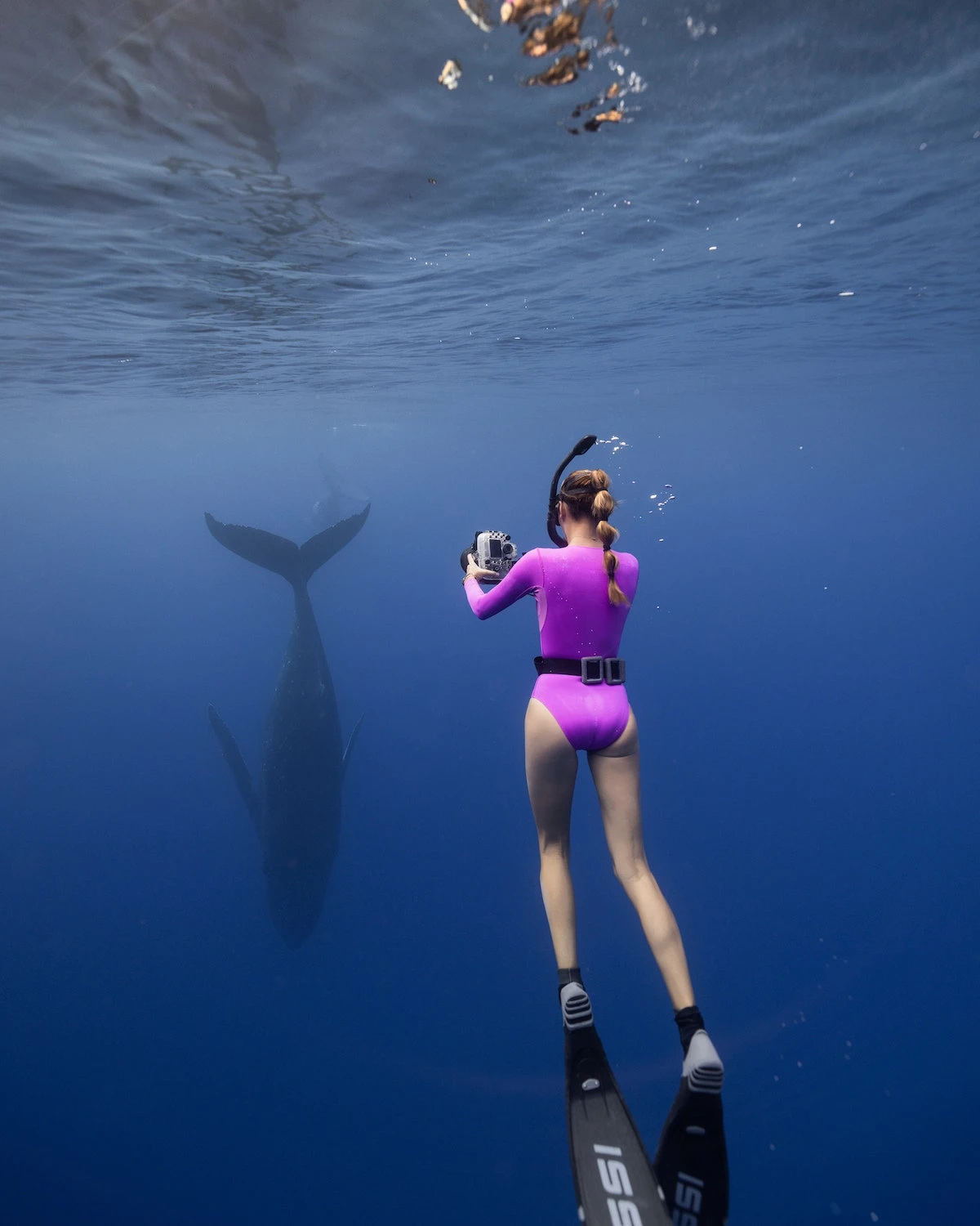 Harper Surf Suit - Jazzberry 10 Harper Surf Suit - Jazzberry - Image 8