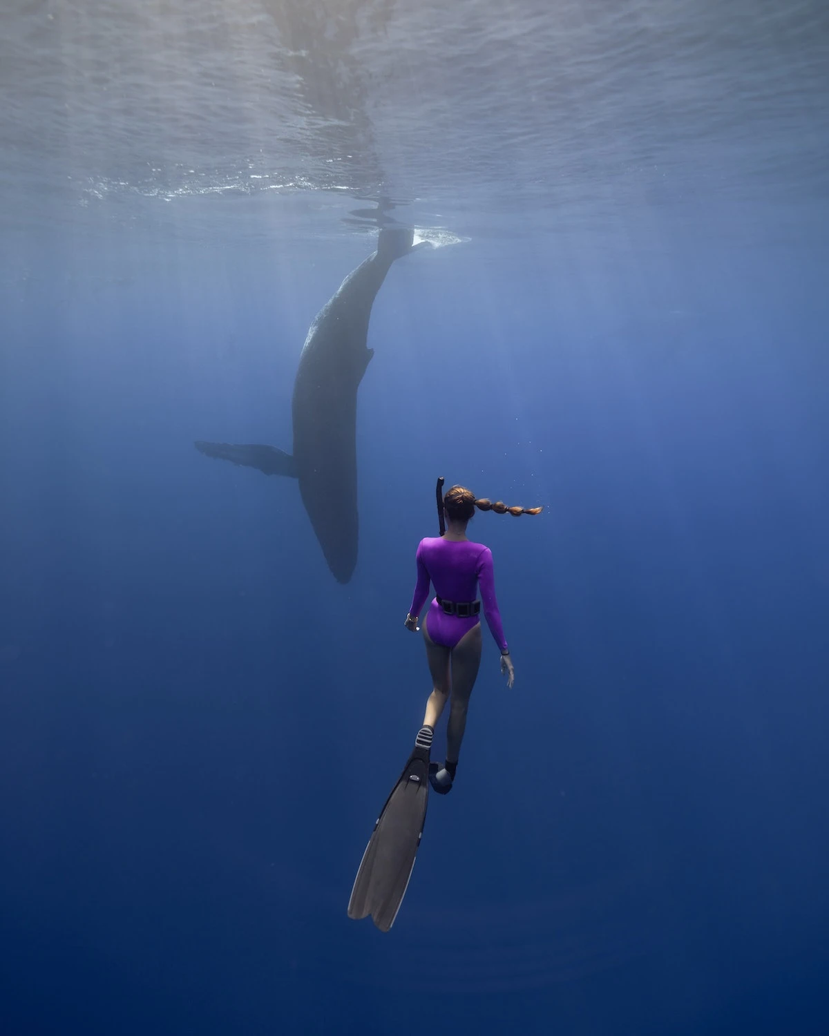 Harper Surf Suit - Jazzberry 4 Harper Surf Suit - Jazzberry - Image 2