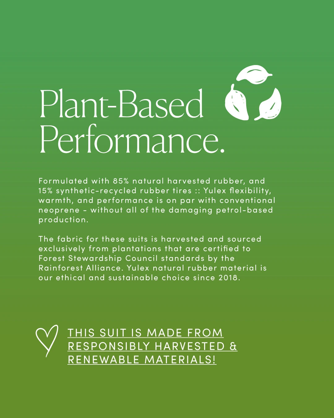 Palisades 2mm Yulex Shorts - Lush 15 Palisades 2mm Yulex Shorts - Lush - Image 14